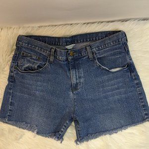 Garnet Hill Denim Cut off Shorts
